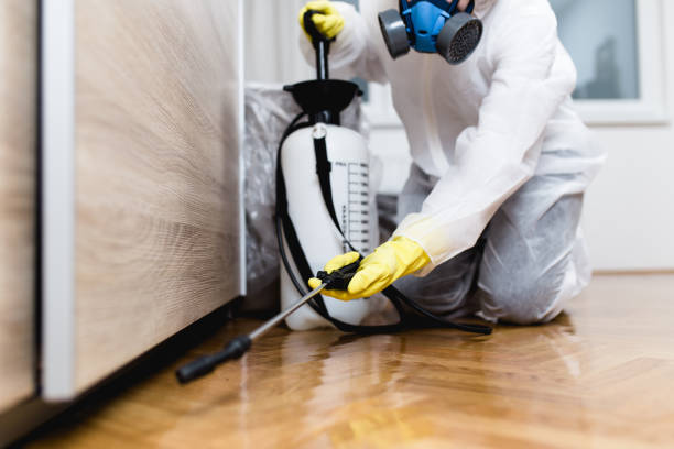 Best Flea Control Services  in Holley, NY
