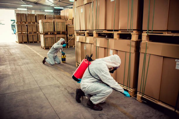 Best Mosquito Control Services  in Holley, NY