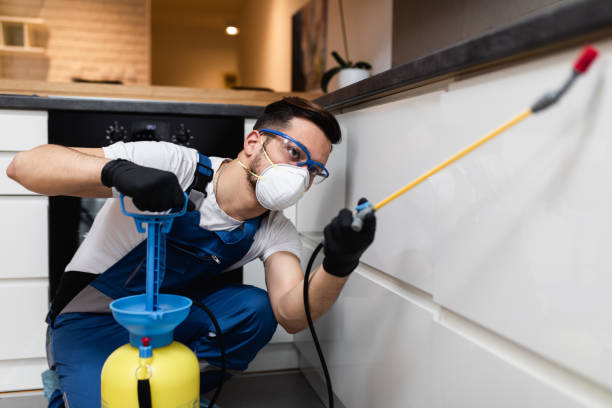 Best Affordable Pest Control Services  in Holley, NY