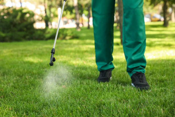 Best Residential Pest Control  in Holley, NY