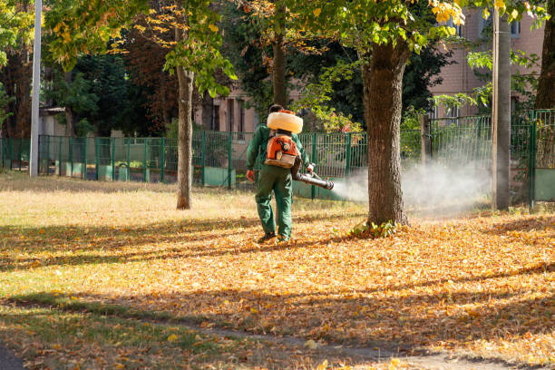 Best Bird Control  in Holley, NY