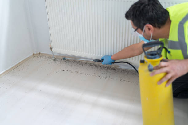 Best Commercial Pest Control Services  in Holley, NY